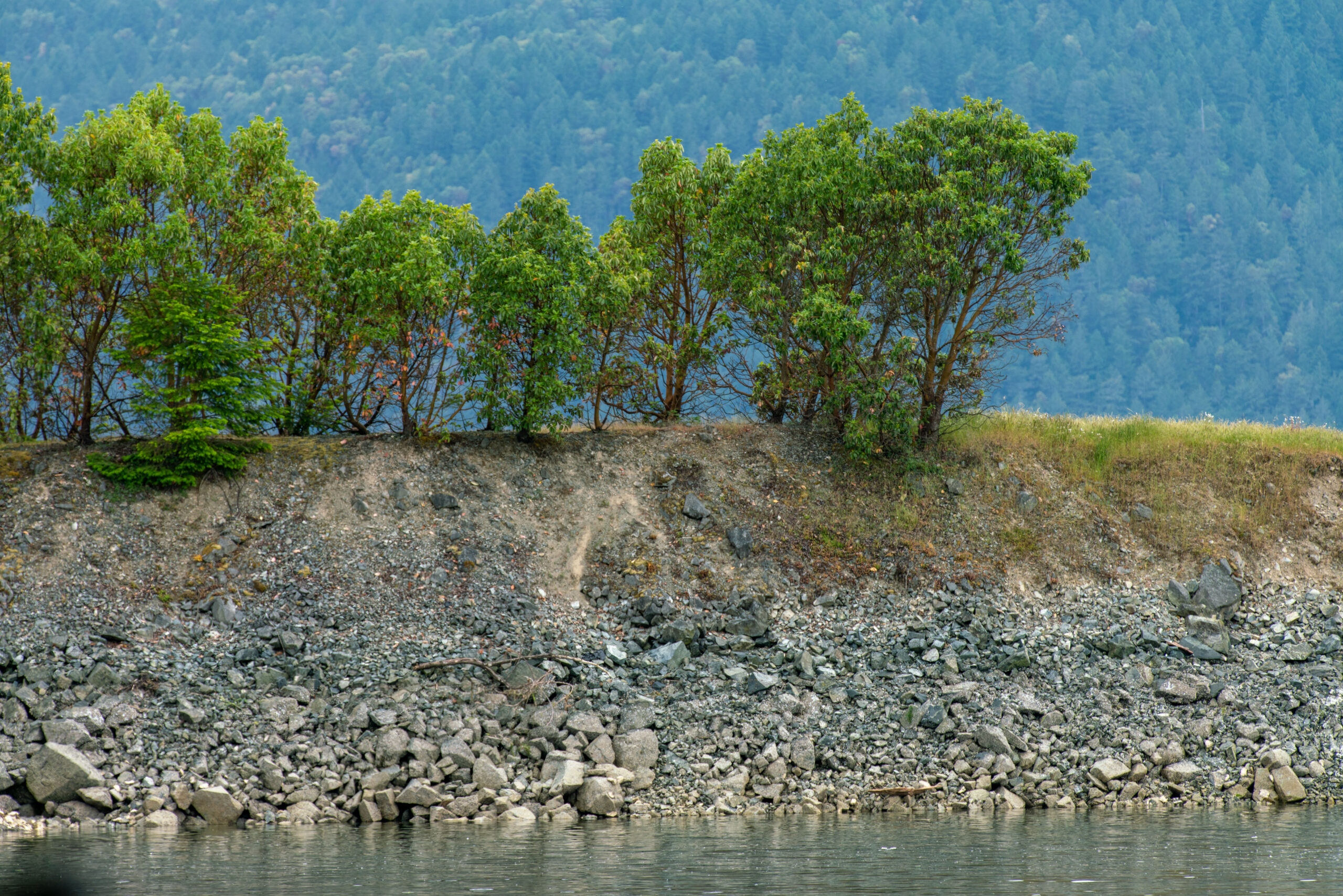 DSC09220_Tsartlip reserve_shoreline